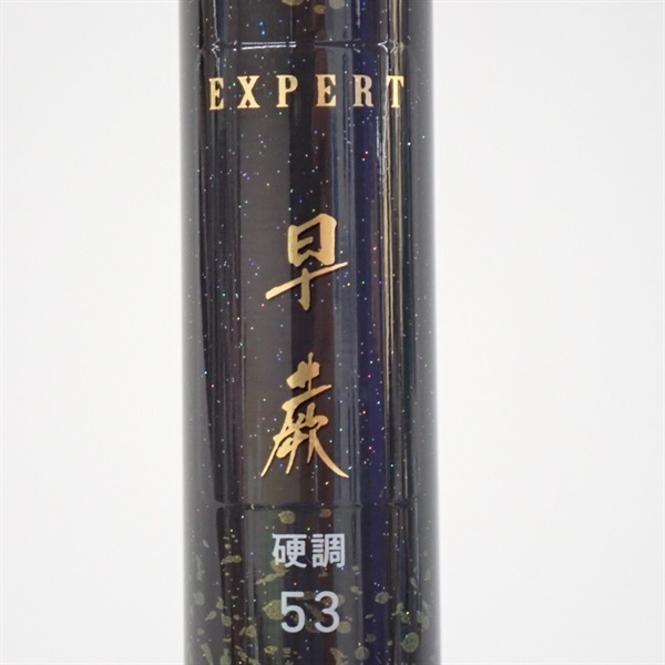 １９エキスパート早蕨硬調５３・Ｖ